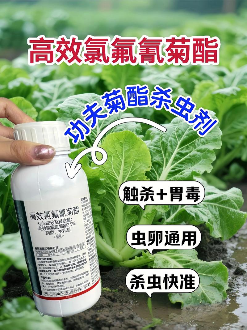 铁岭代生中心:农药对供卵代生妈妈的危害